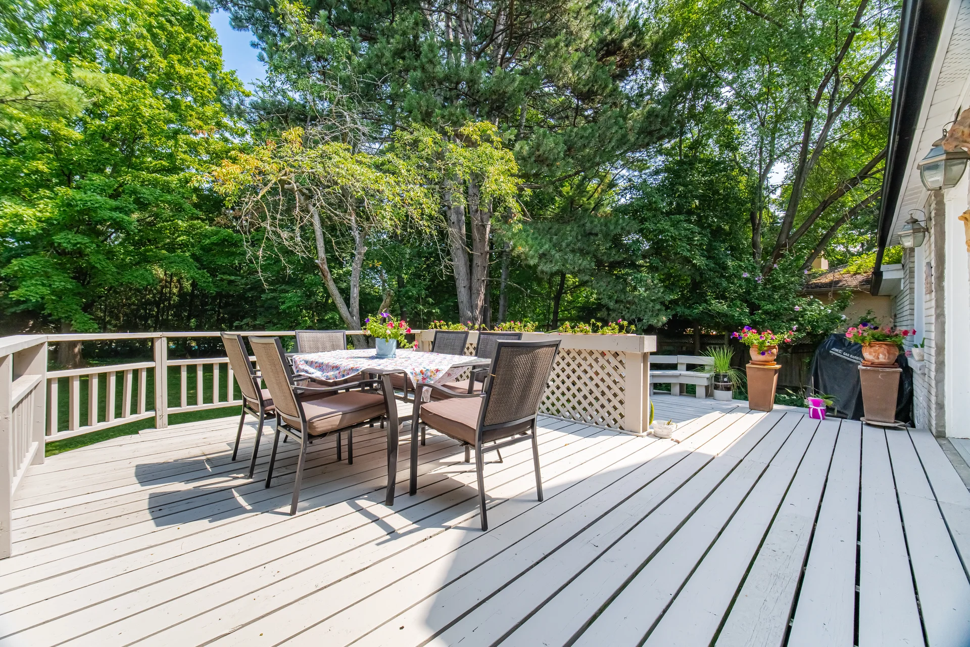 10 Elmview Court, Etobicoke - photo 49