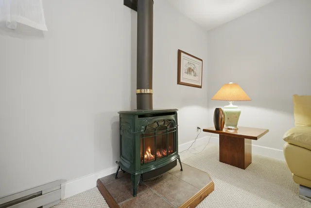 38 West Village Drive, Caledon - photo 58