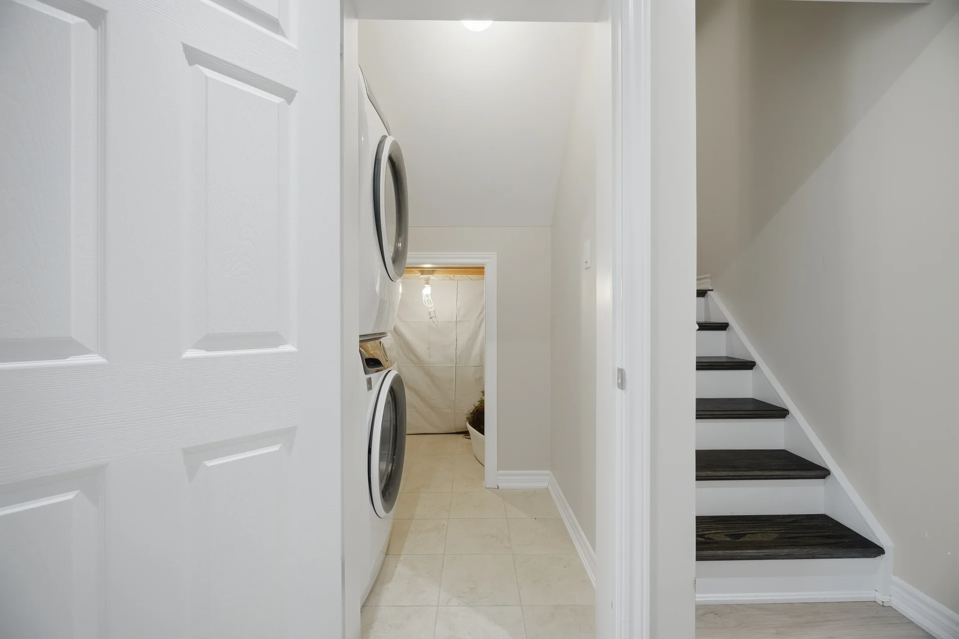 3676307