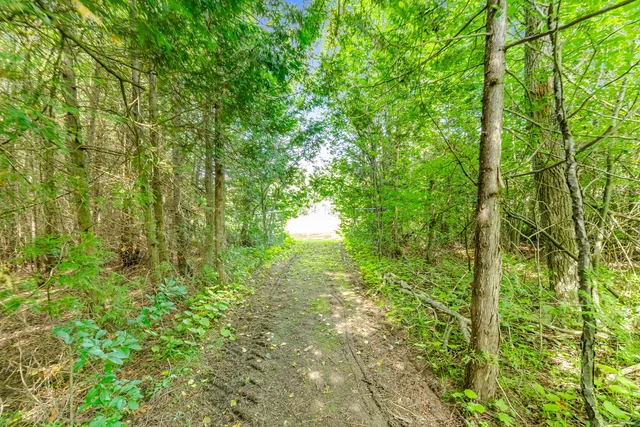 5688 Sixth Line, Hillsburgh - photo 184