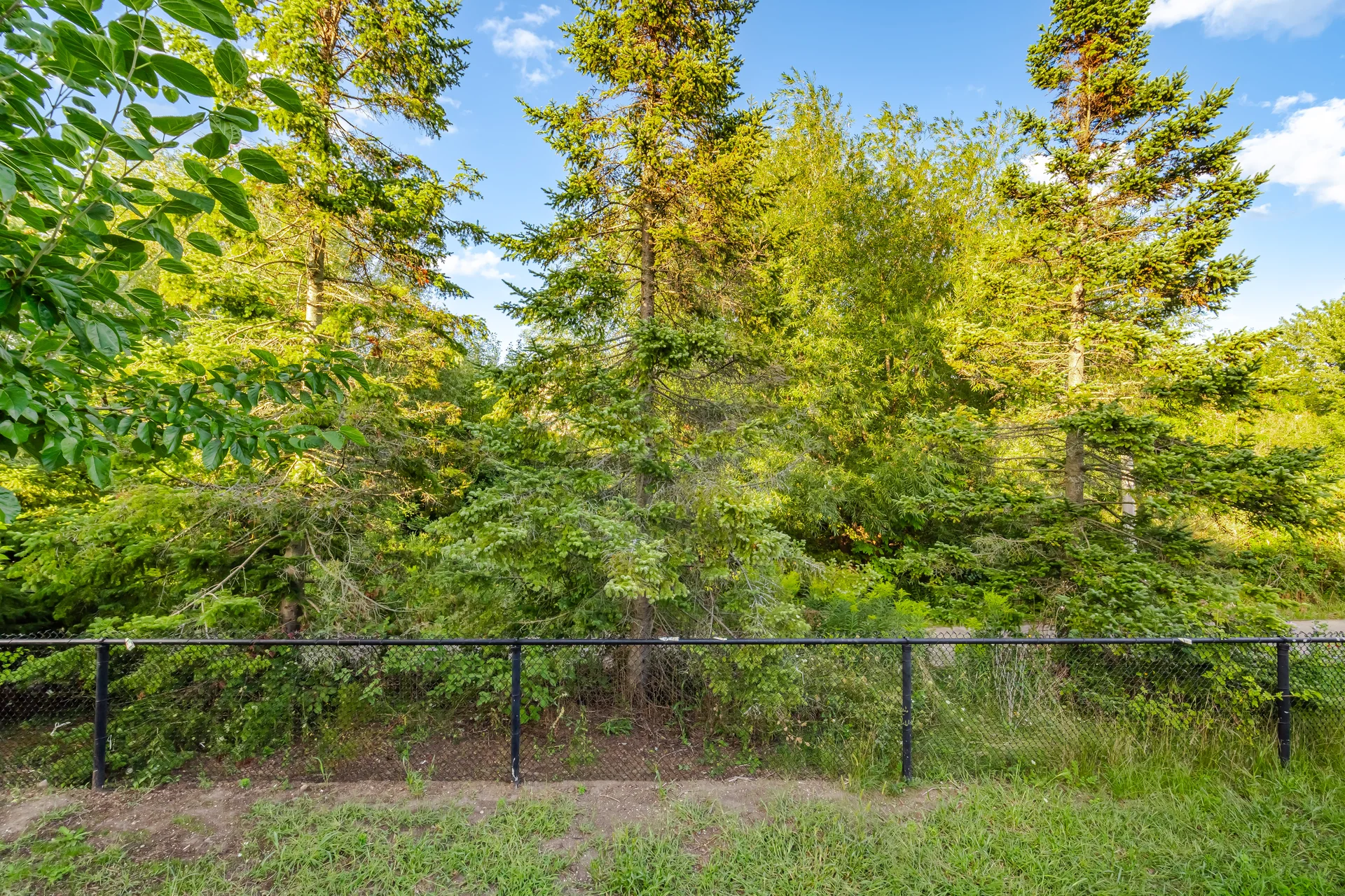 25 Dovergreen Drive, Brampton - photo 80