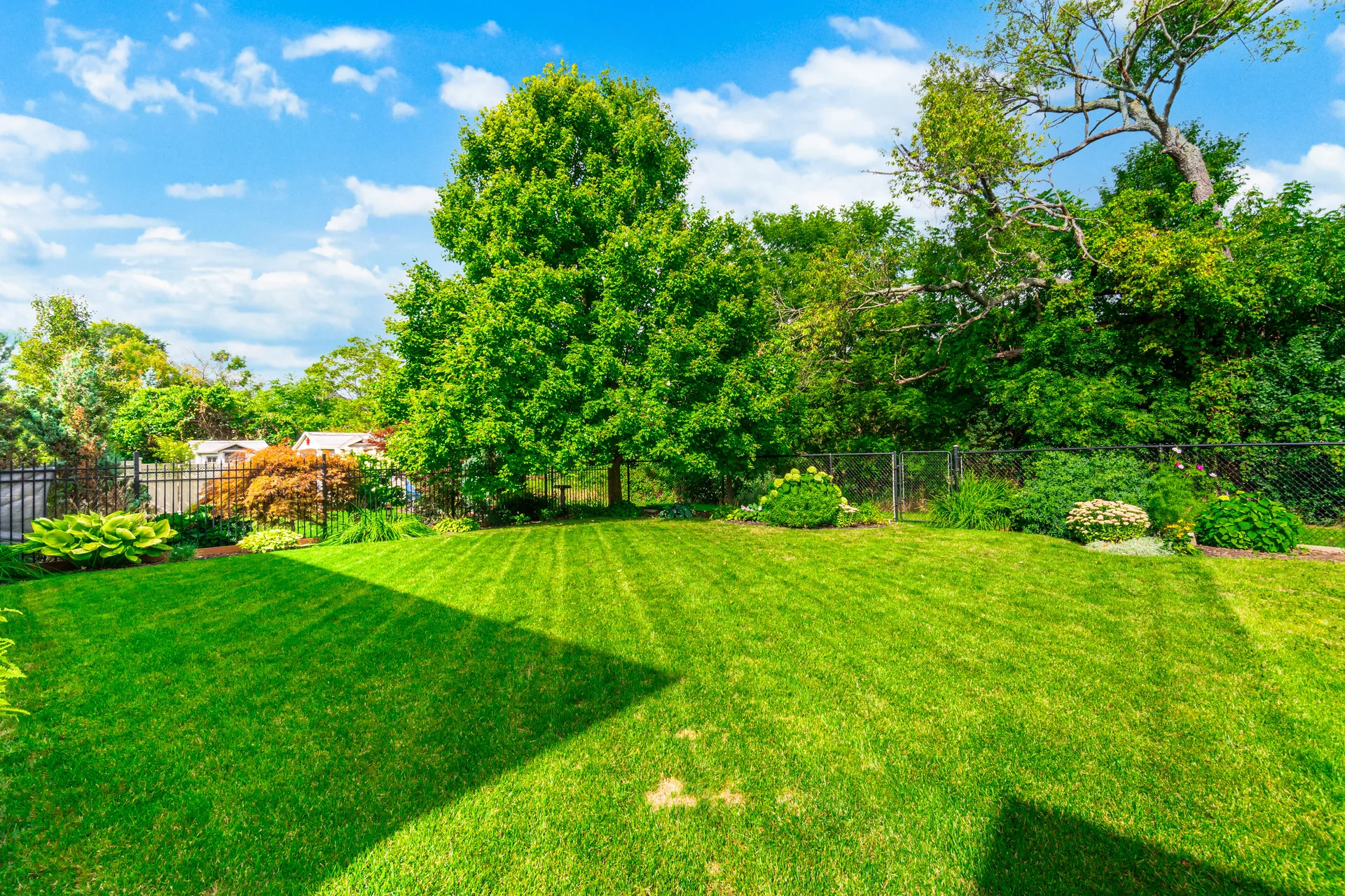 84 Meadowbank Drive, Hamilton - photo 80