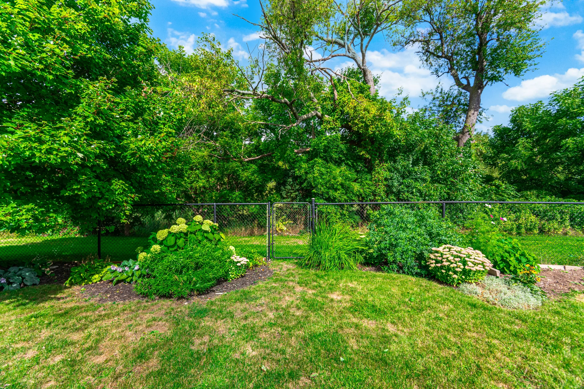 84 Meadowbank Drive, Hamilton - photo 81