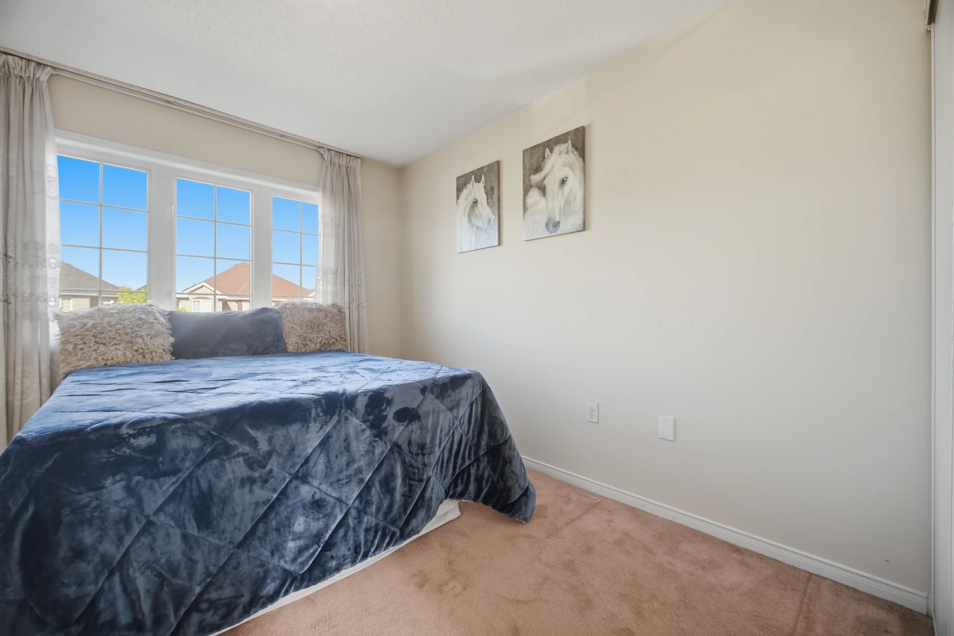 3692402