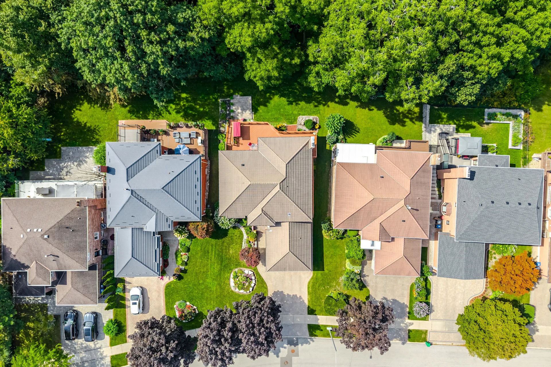 3694025