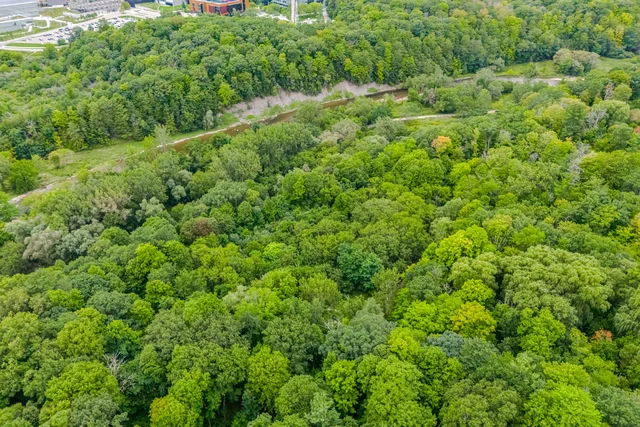 1408 Ballyclare Drive, Mississauga - photo 91