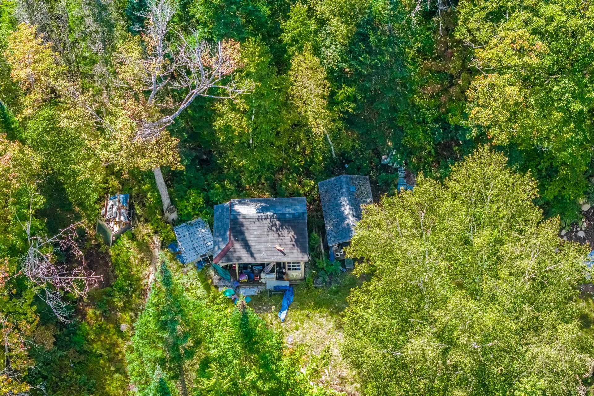 17000 Highway 35, Algonquin Highlands - photo 12