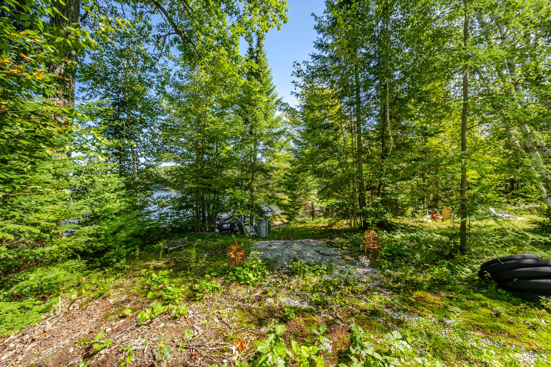 17000 Highway 35, Algonquin Highlands - photo 19