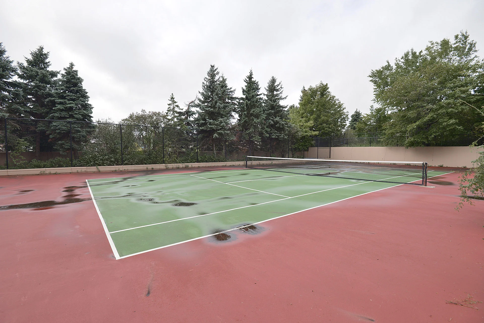#816-155 Hillcrest Avenue, Mississauga - photo 41