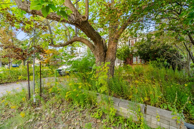 7 Ashbourne Drive, Etobicoke - photo 13