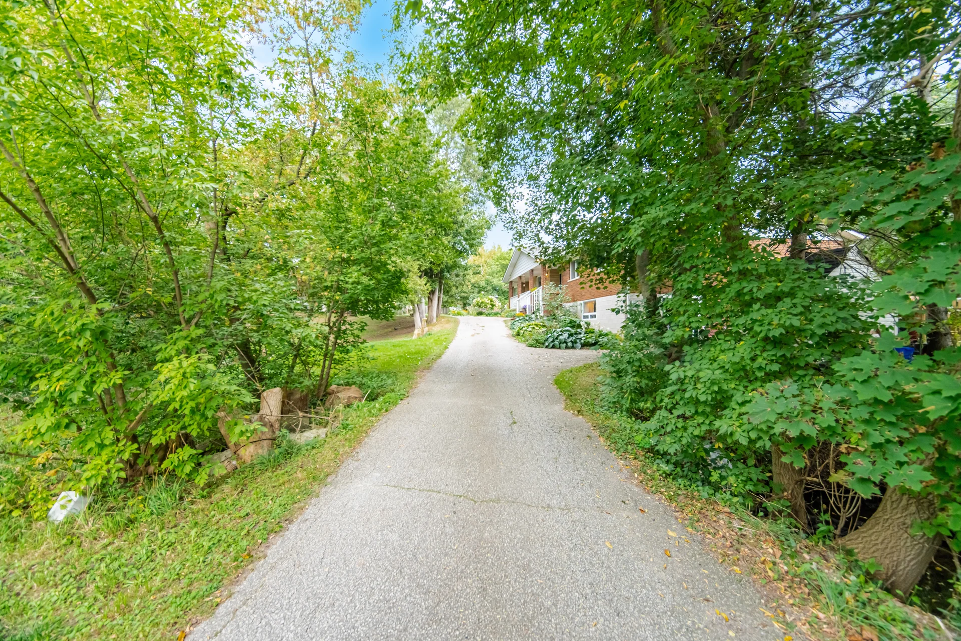 14367 Trafalgar Road, Ballinafad - photo 9
