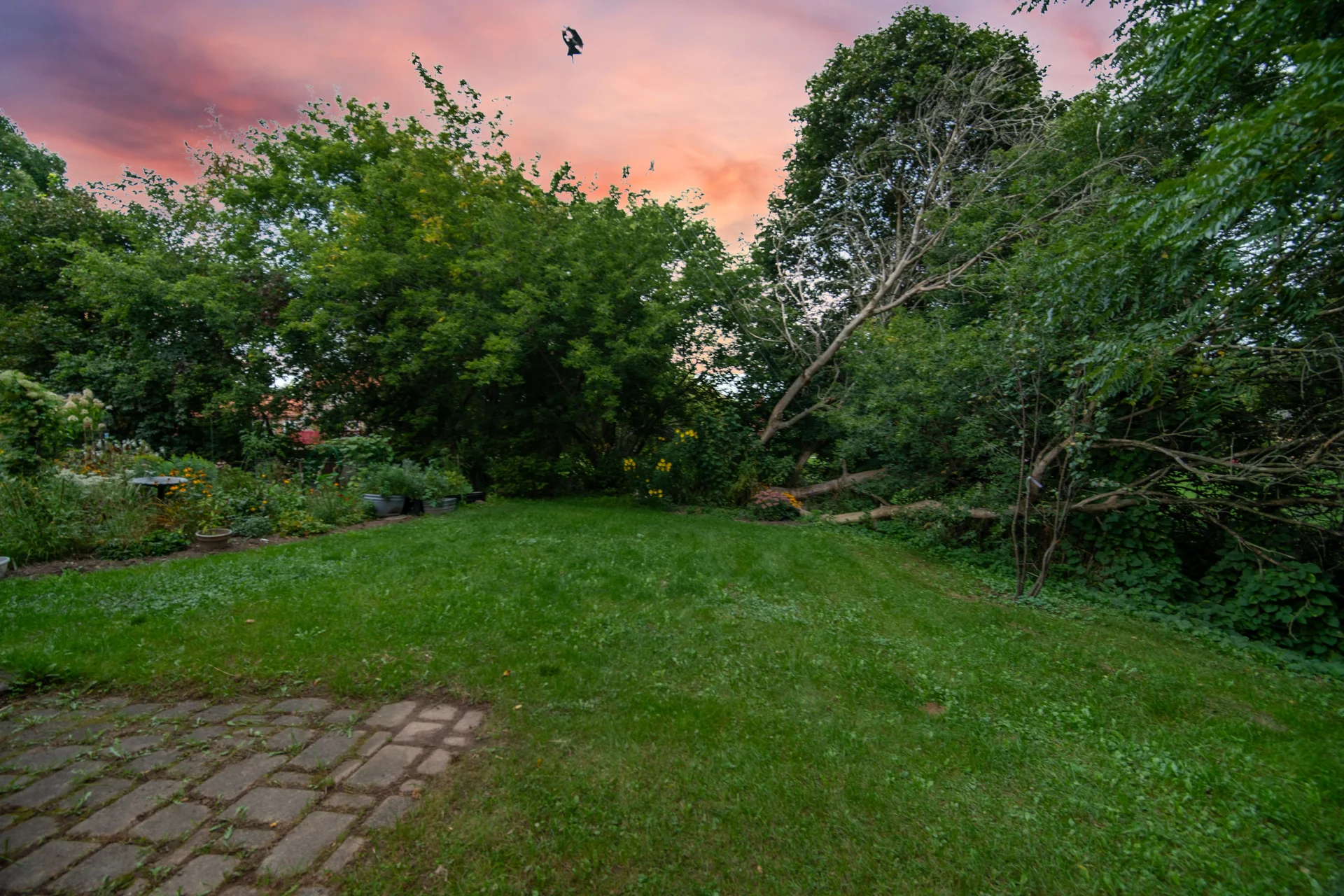 14367 Trafalgar Road, Ballinafad - photo 126