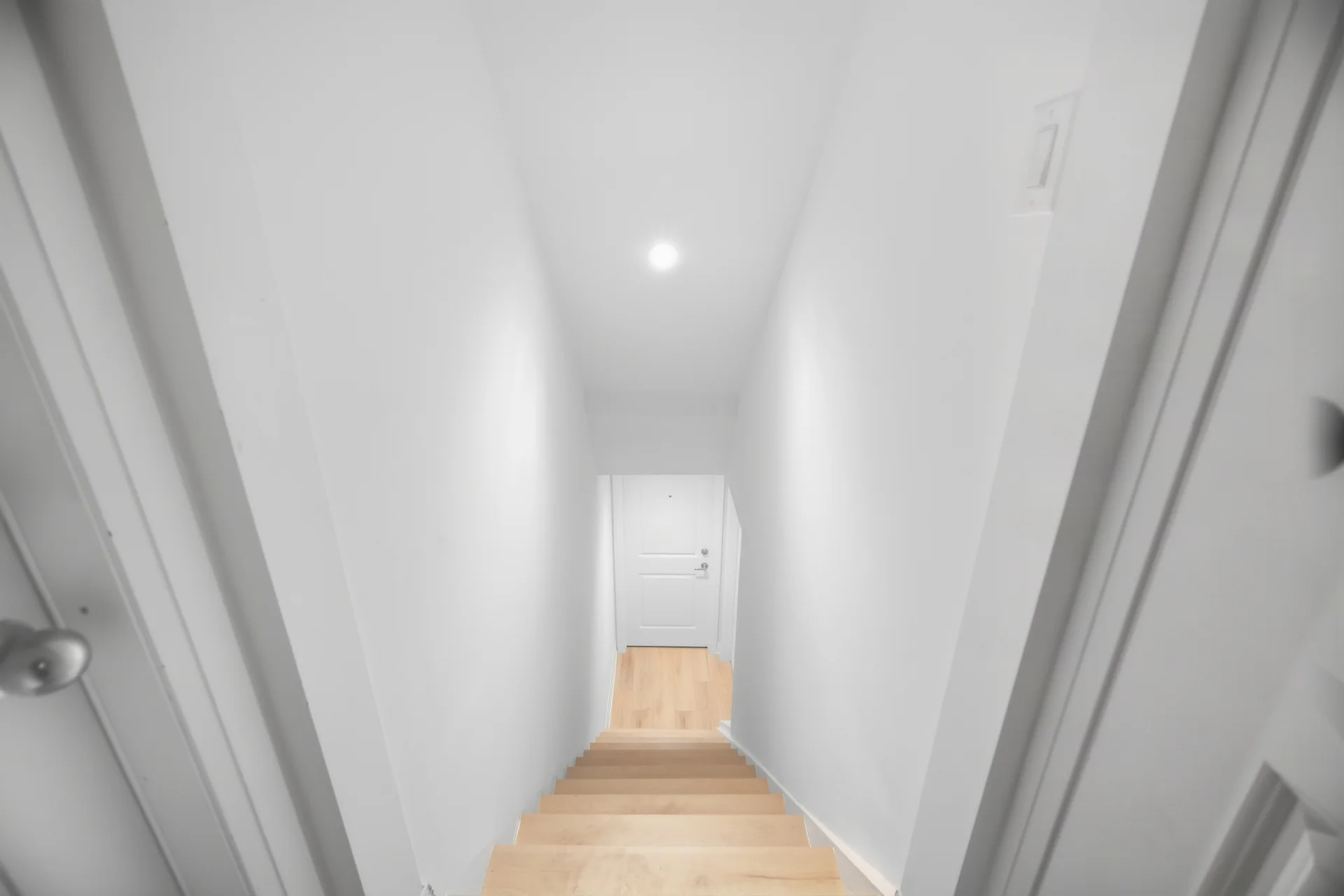 3390 Frobex Court, Mississauga - photo 41