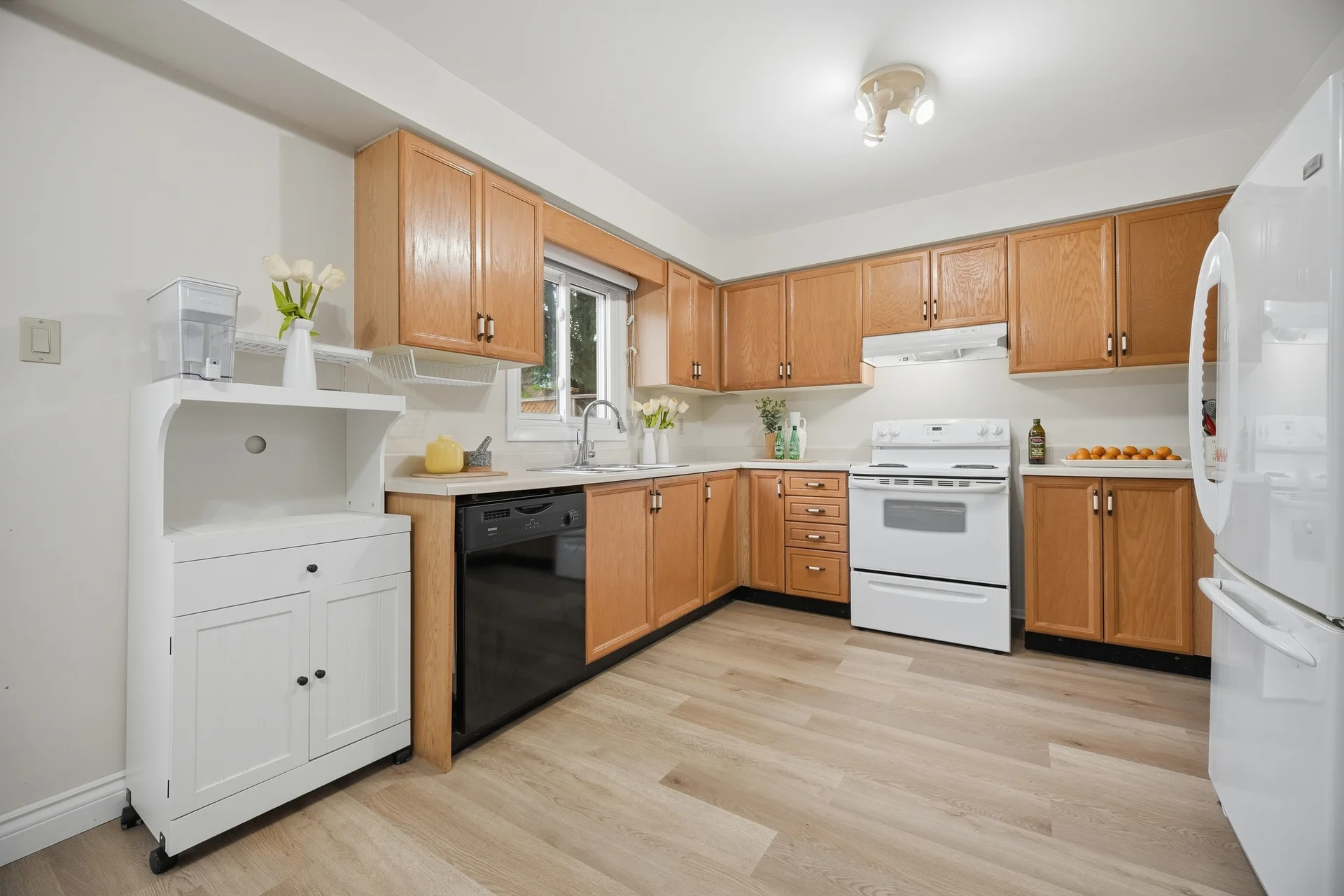 39 Ebby Avenue, Brampton - photo 26