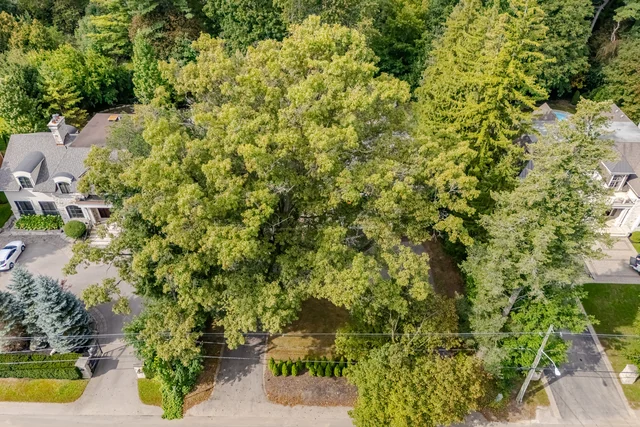 1037 Lakeshore Road West, Oakville - photo 6