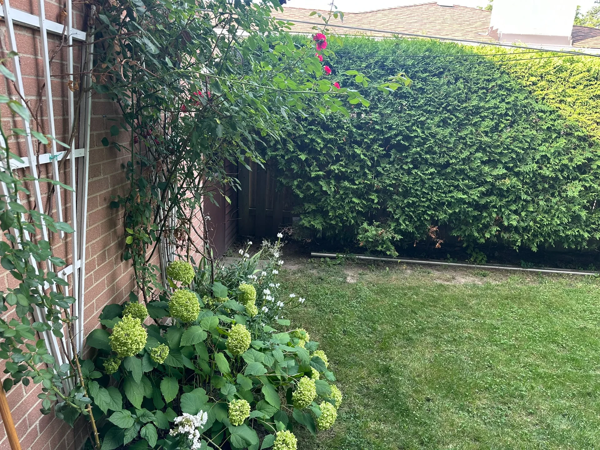 1434 Thorndyke Crescent, Mississauga - photo 84