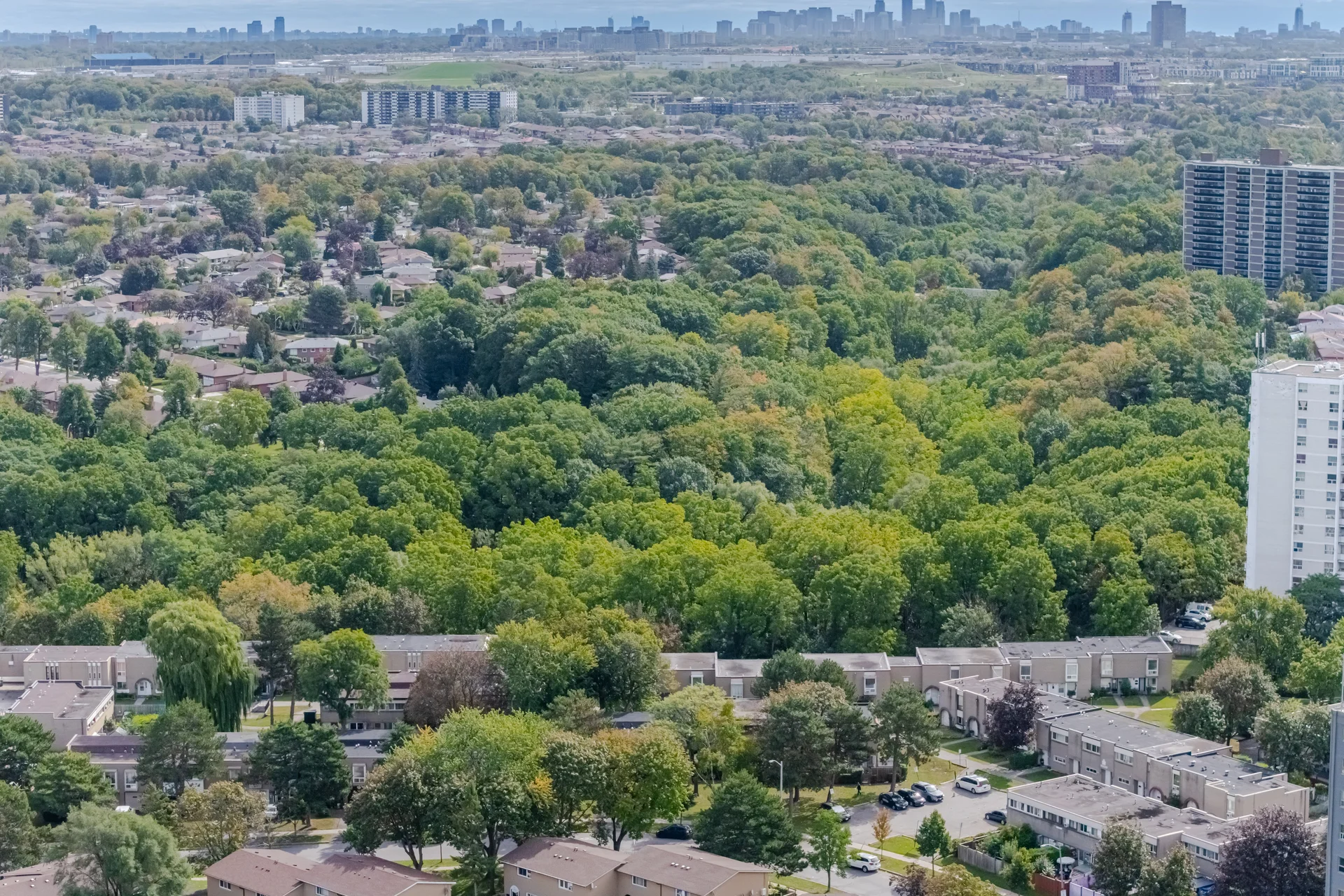 43 Elana Drive, North York - photo 74