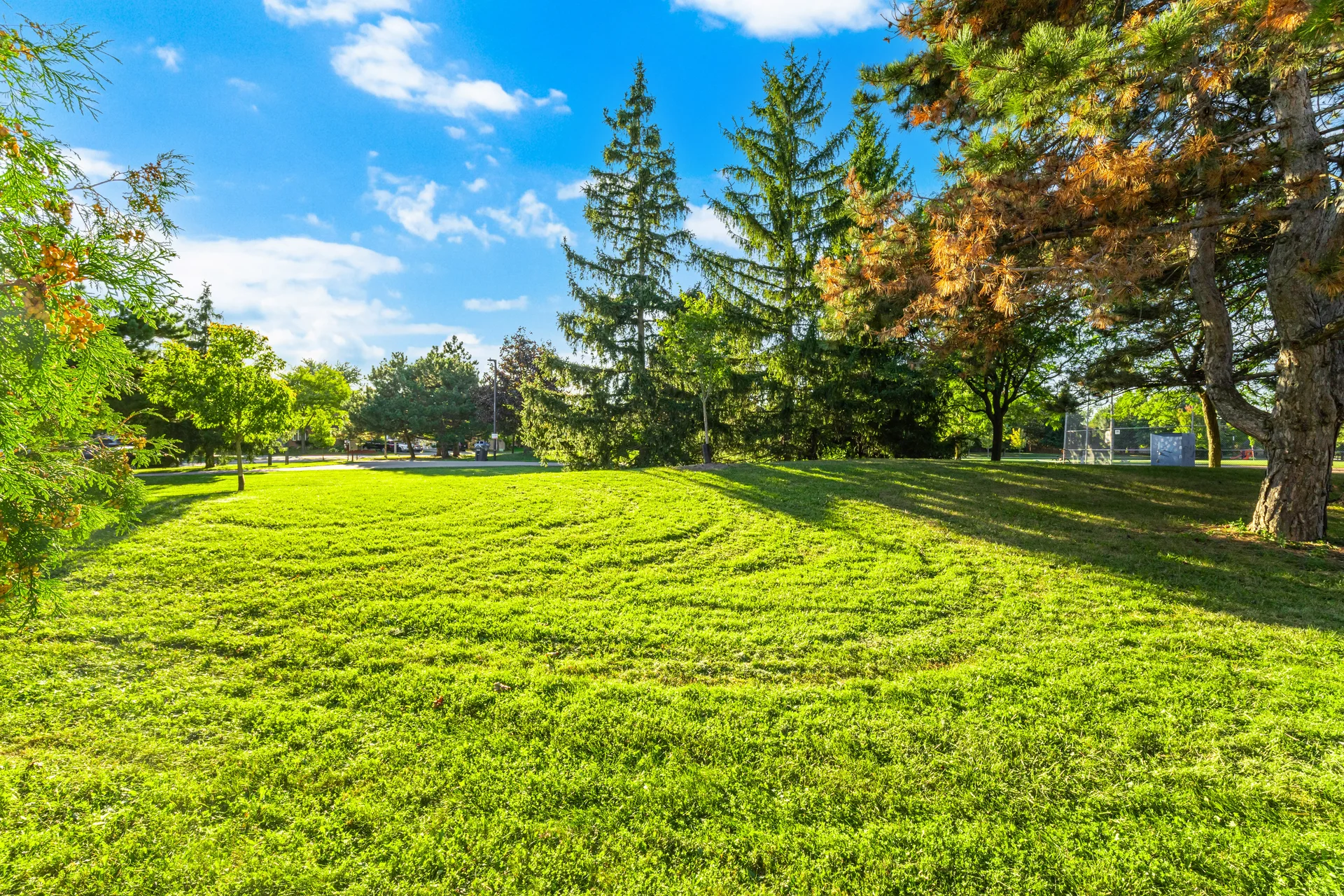 3103 Augusta Drive, Mississauga - photo 46