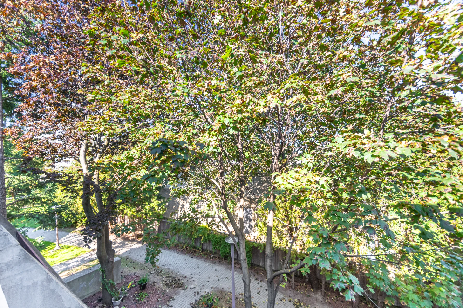 #108-1250 Mississauga Valley Boulevard, Mississauga - photo 36