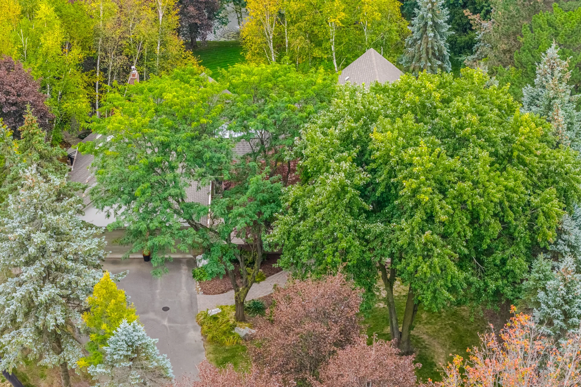 42 Hedgerow Court, Kleinburg - photo 6