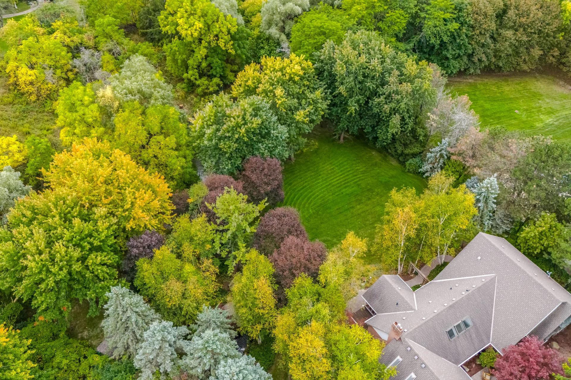 42 Hedgerow Court, Kleinburg - photo 135