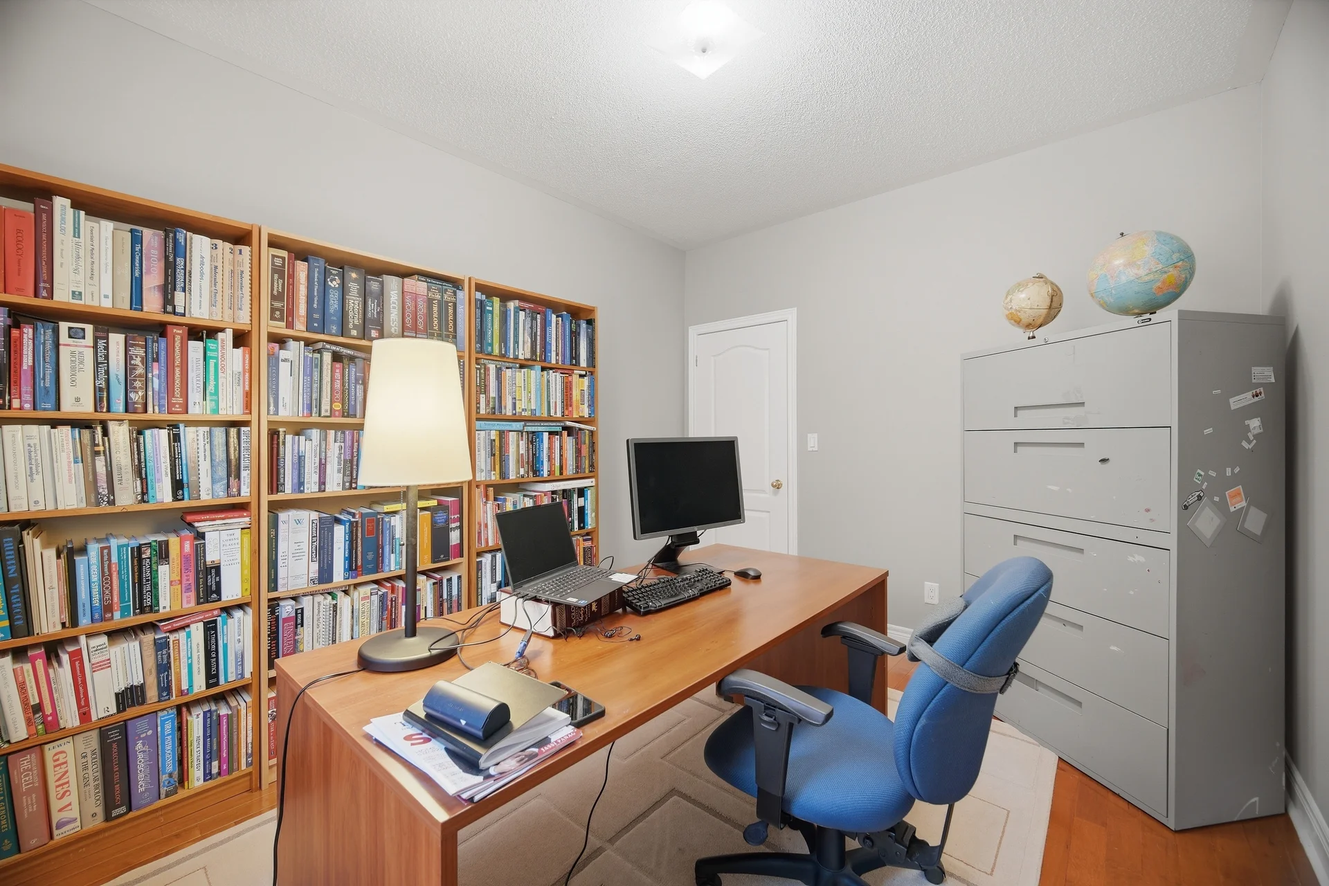 58 Saint Hubert Drive, Brampton - photo 43