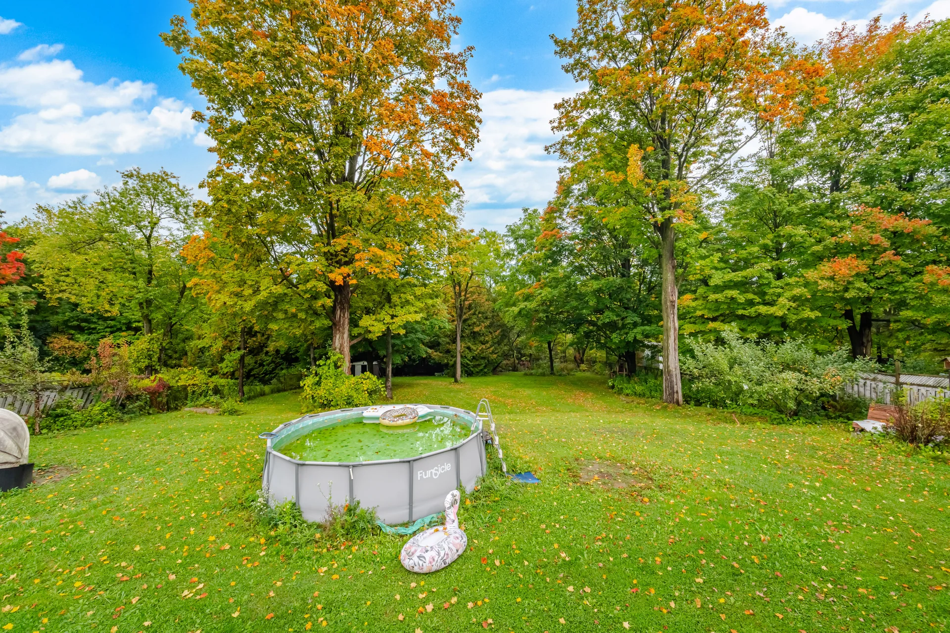 80 East Humber Drive, King City - photo 74