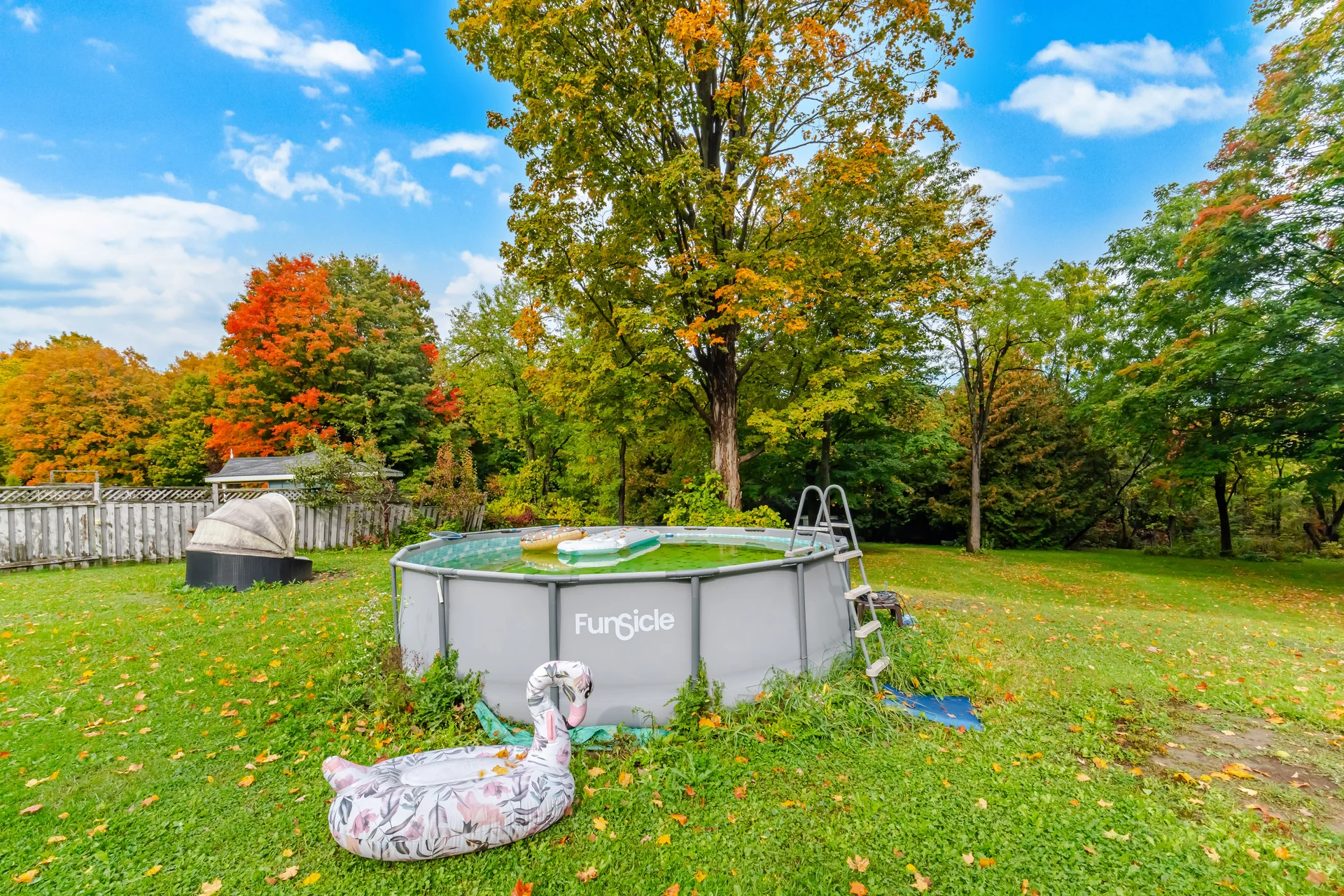 80 East Humber Drive, King City - photo 76