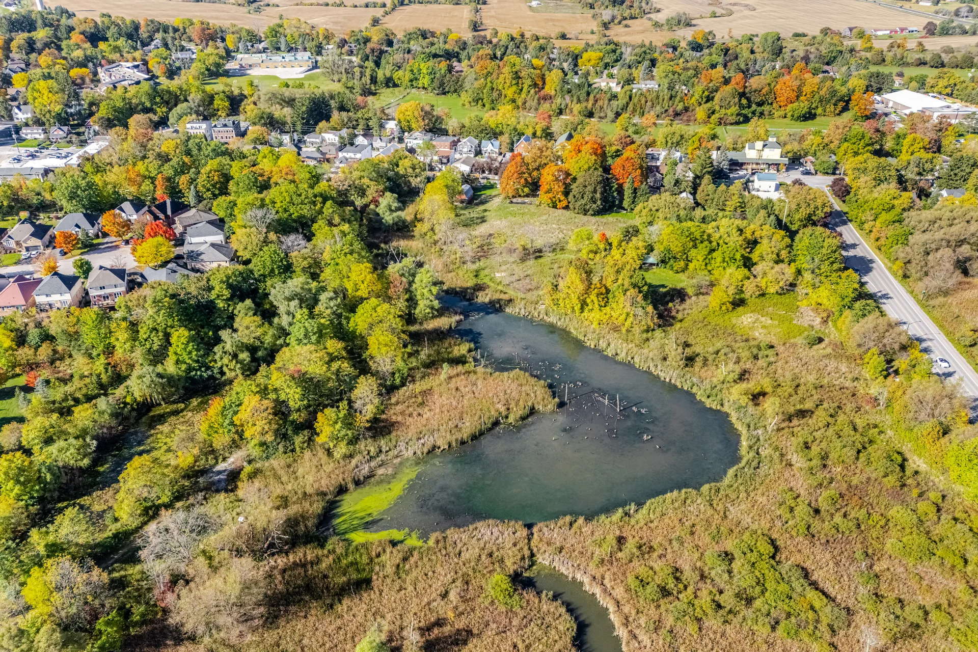 33 Rice Drive, Schomberg - photo 70