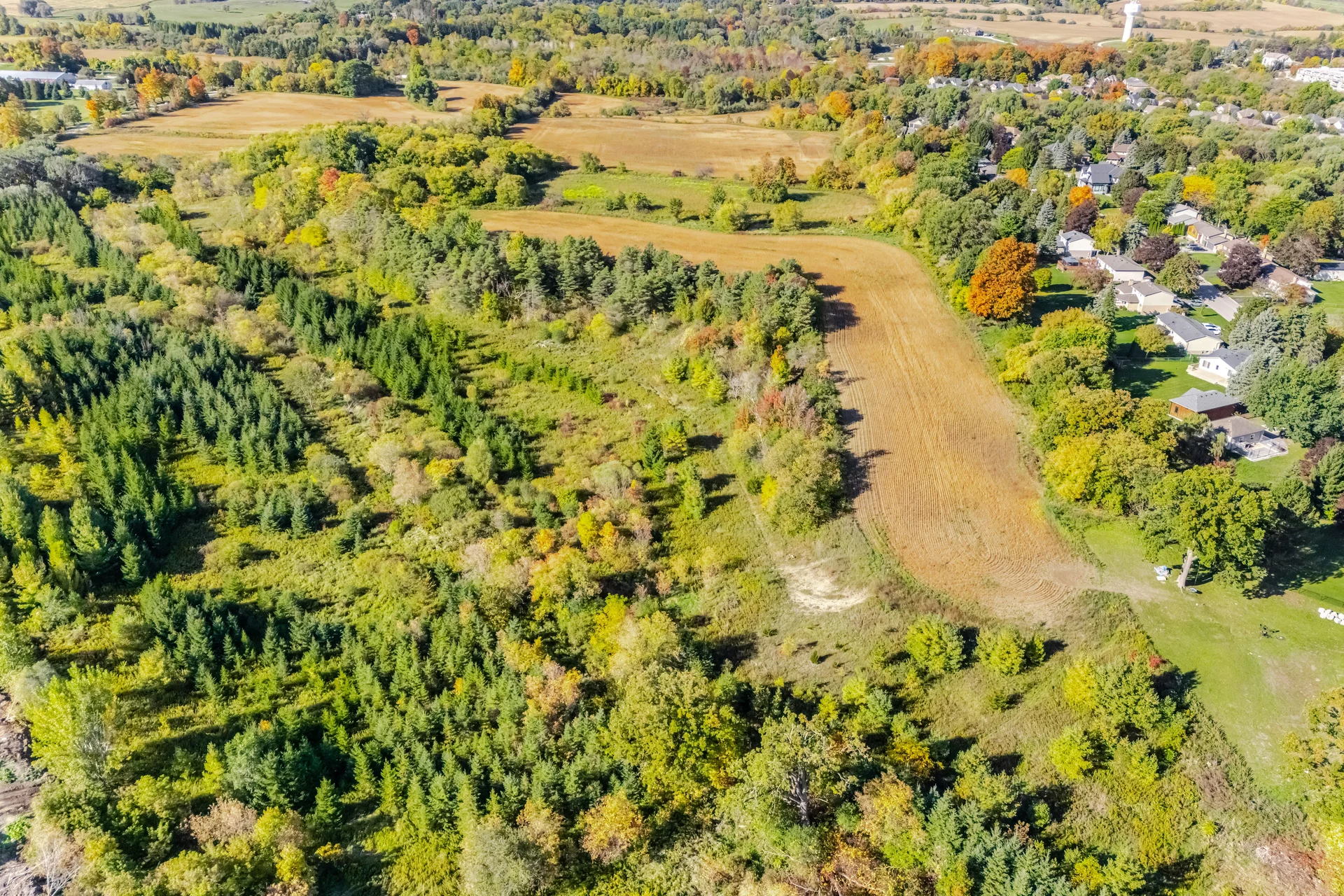 33 Rice Drive, Schomberg - photo 75