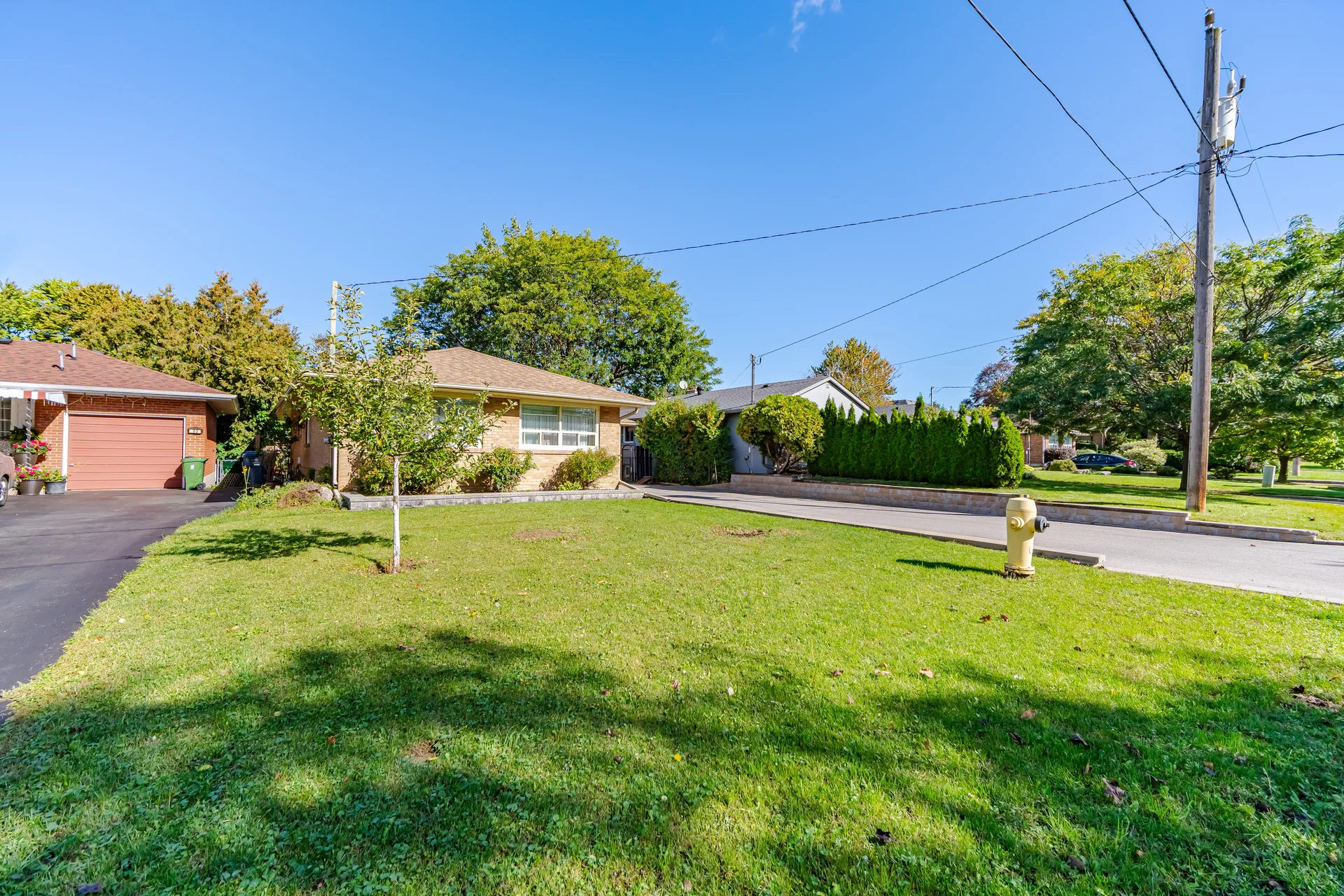 91 Wigmore Drive, North York - photo 12