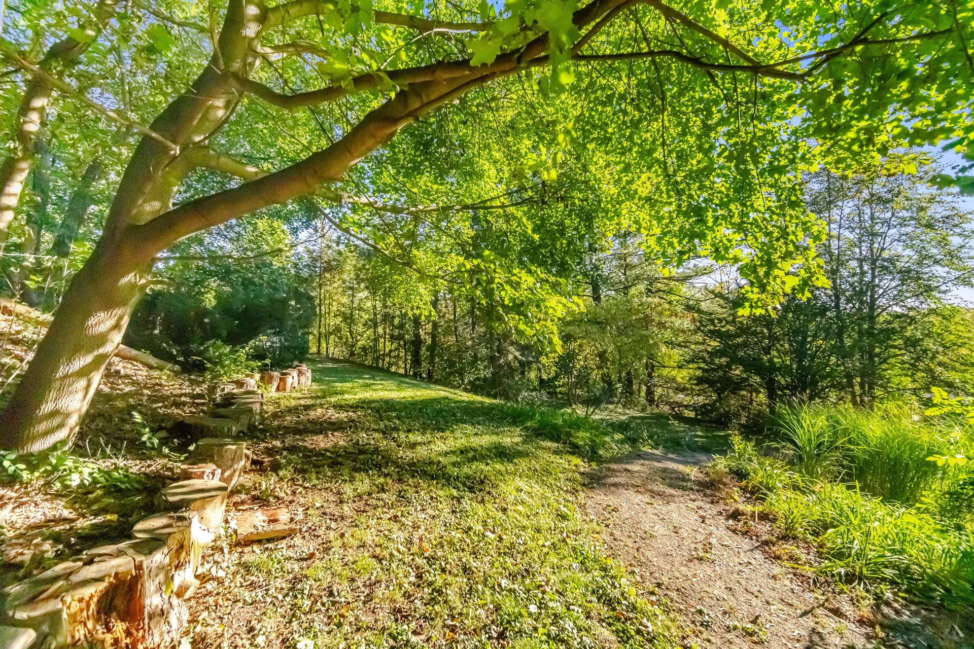 25 Main Street, Kleinburg - photo 81