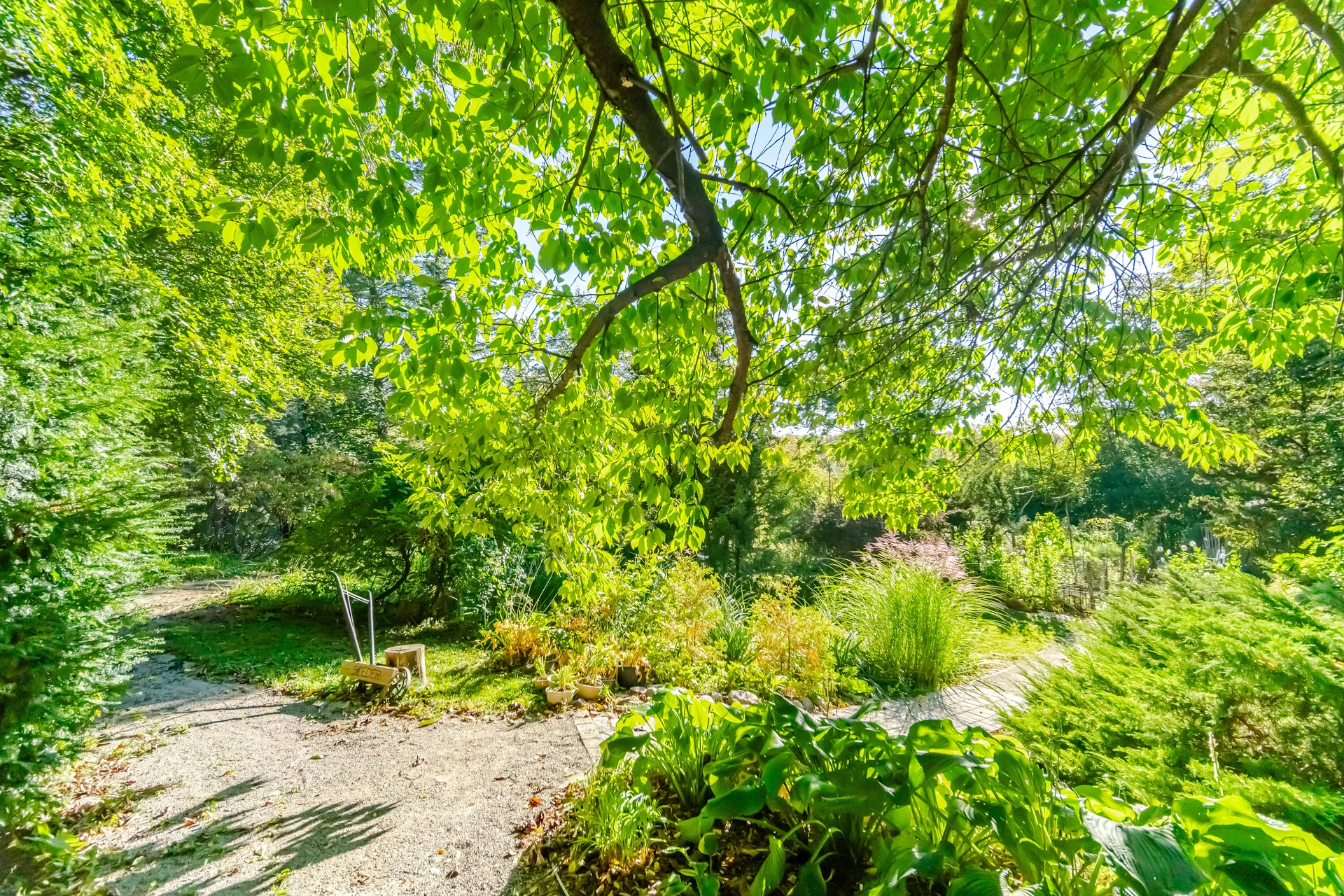 25 Main Street, Kleinburg - photo 88