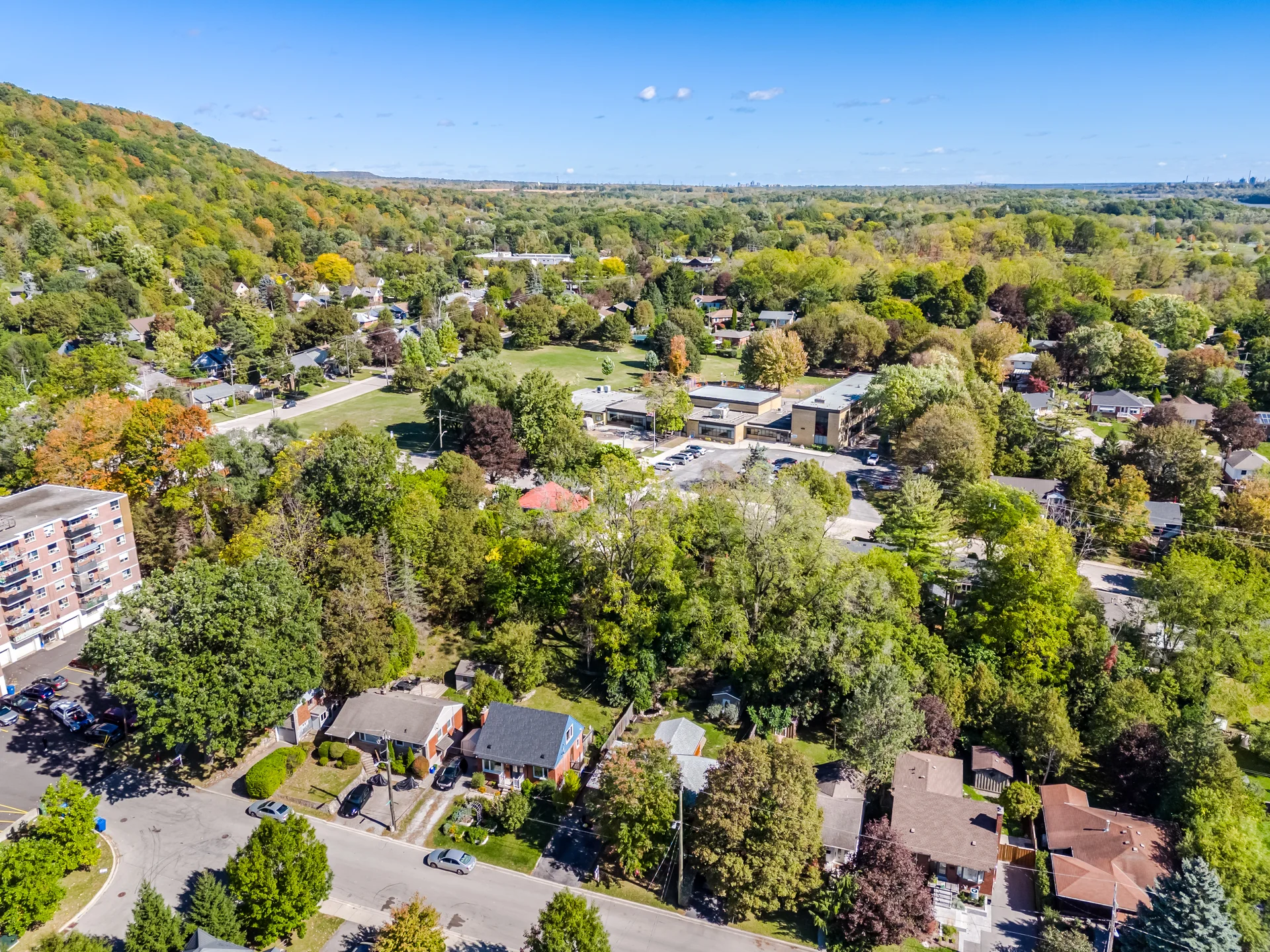 18 Delsey Street, Hamilton - photo 4