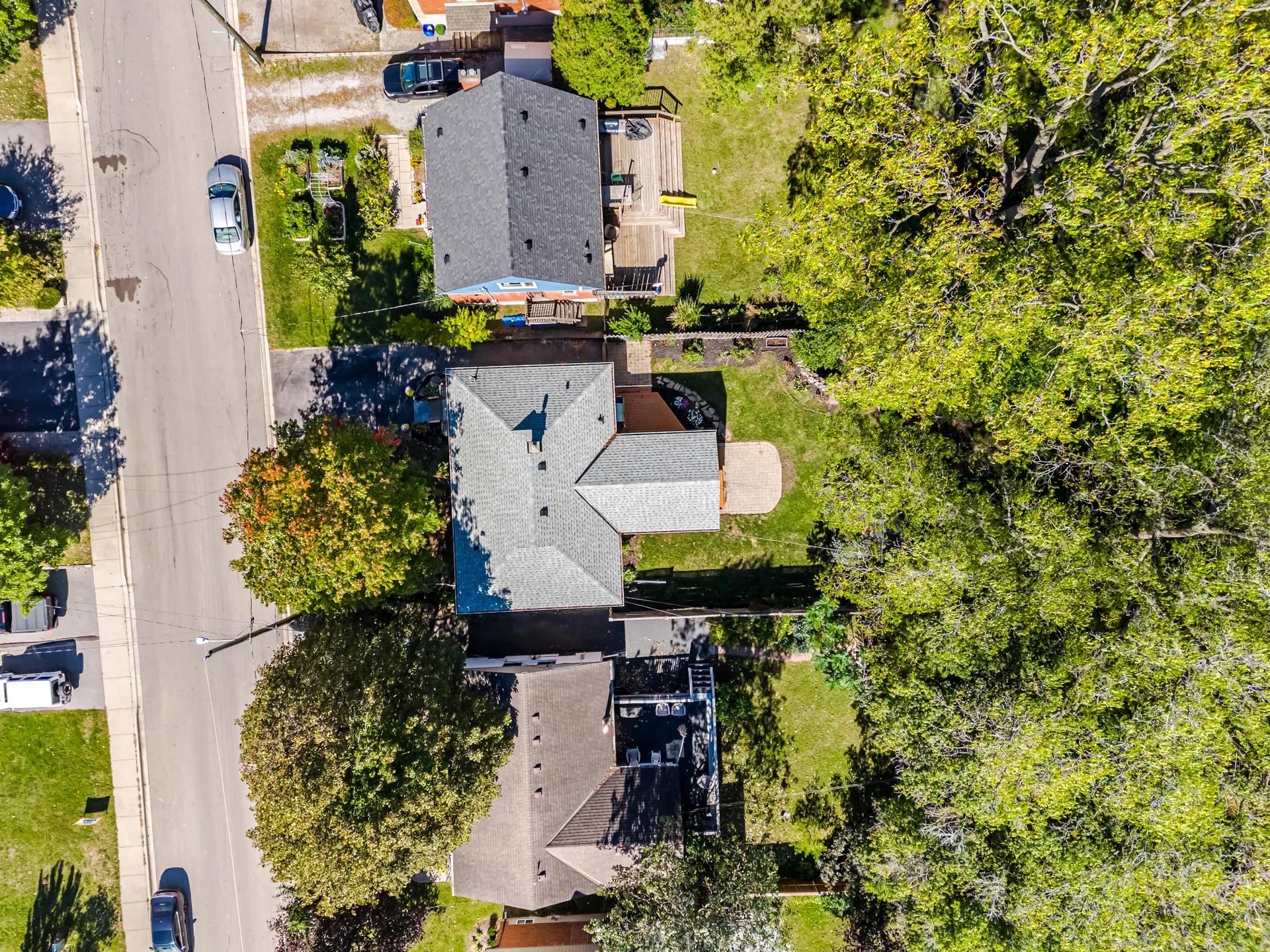 18 Delsey Street, Hamilton - photo 6