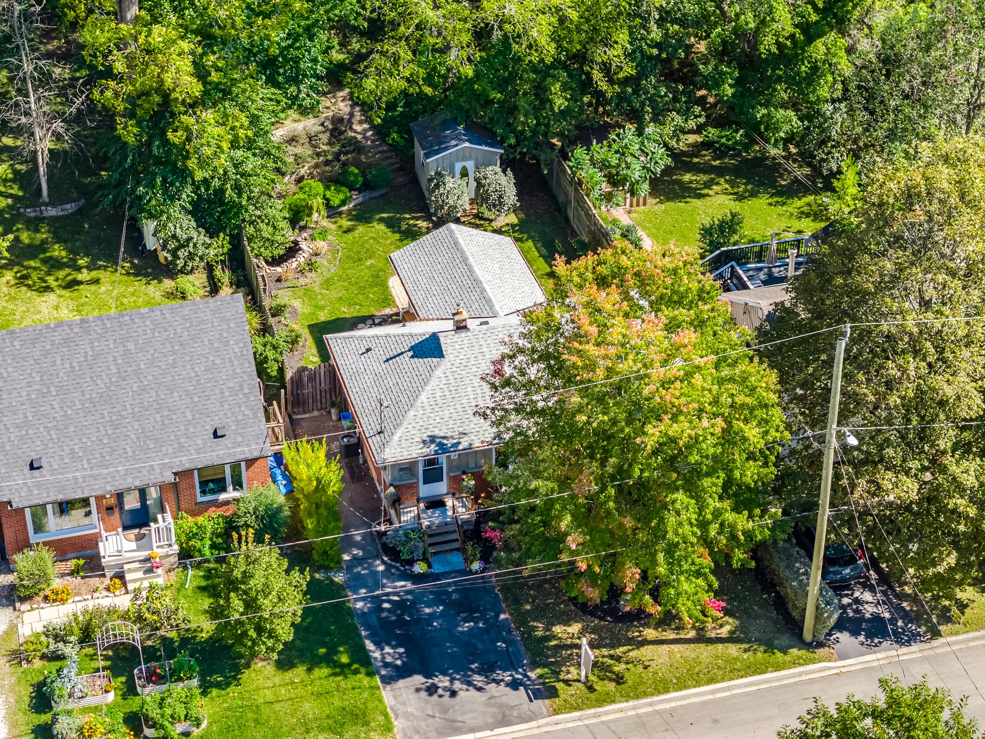 18 Delsey Street, Hamilton - photo 7