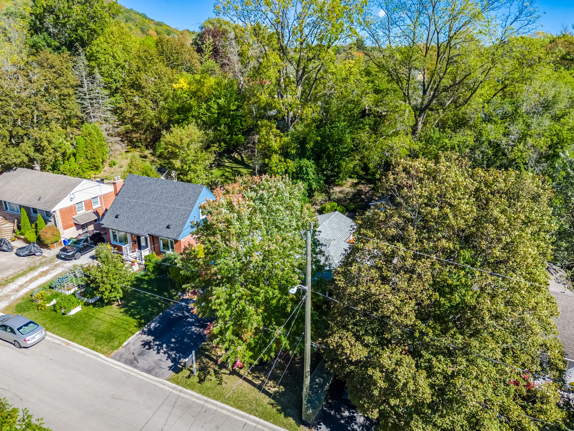 18 Delsey Street, Hamilton - photo 9