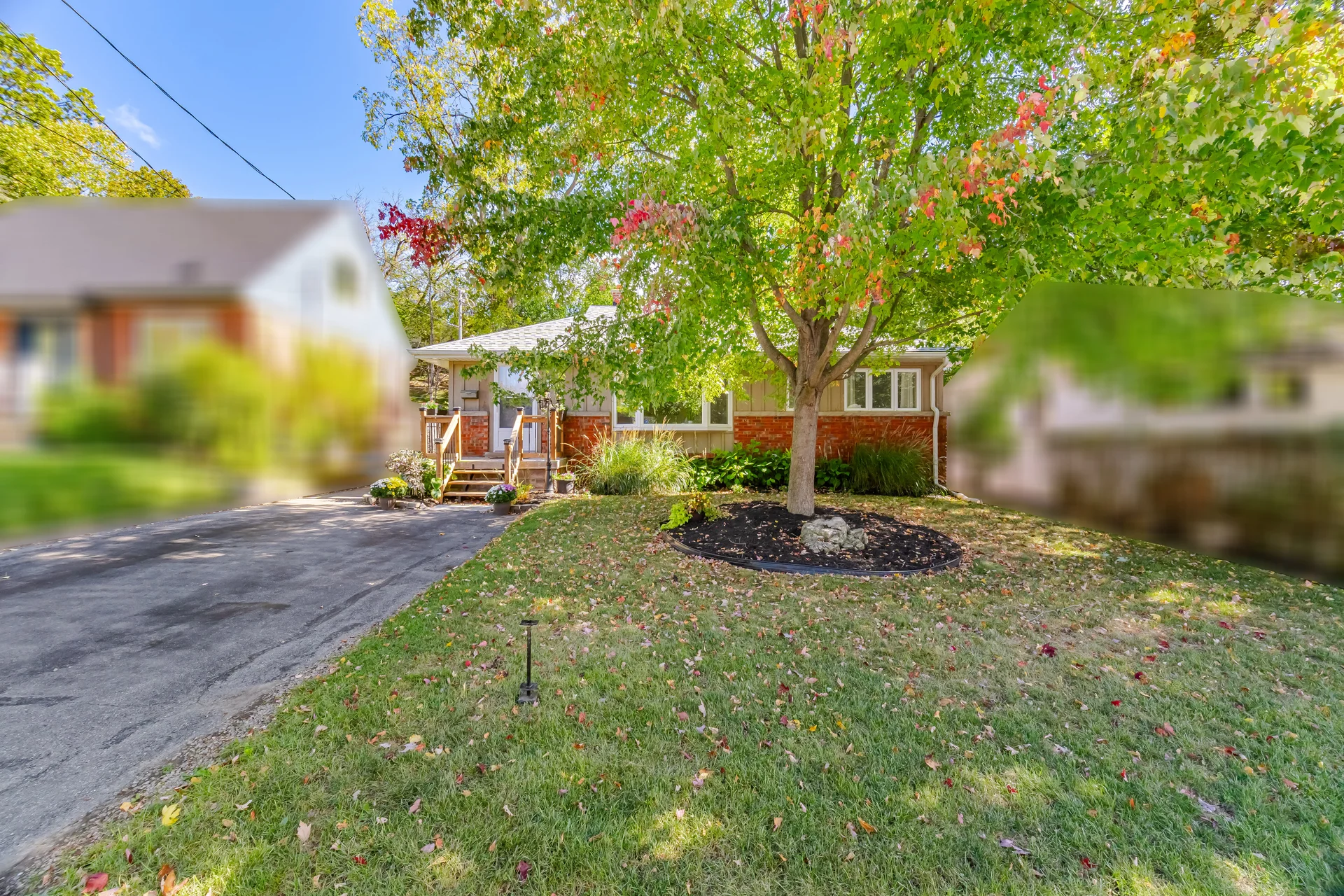 18 Delsey Street, Hamilton - photo 12