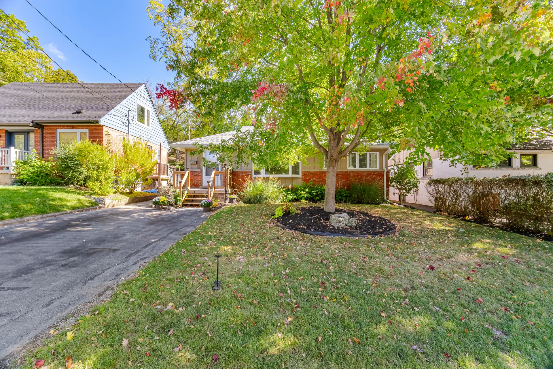 18 Delsey Street, Hamilton - photo 13