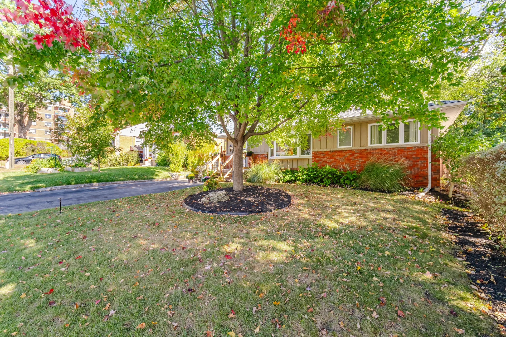 18 Delsey Street, Hamilton - photo 14