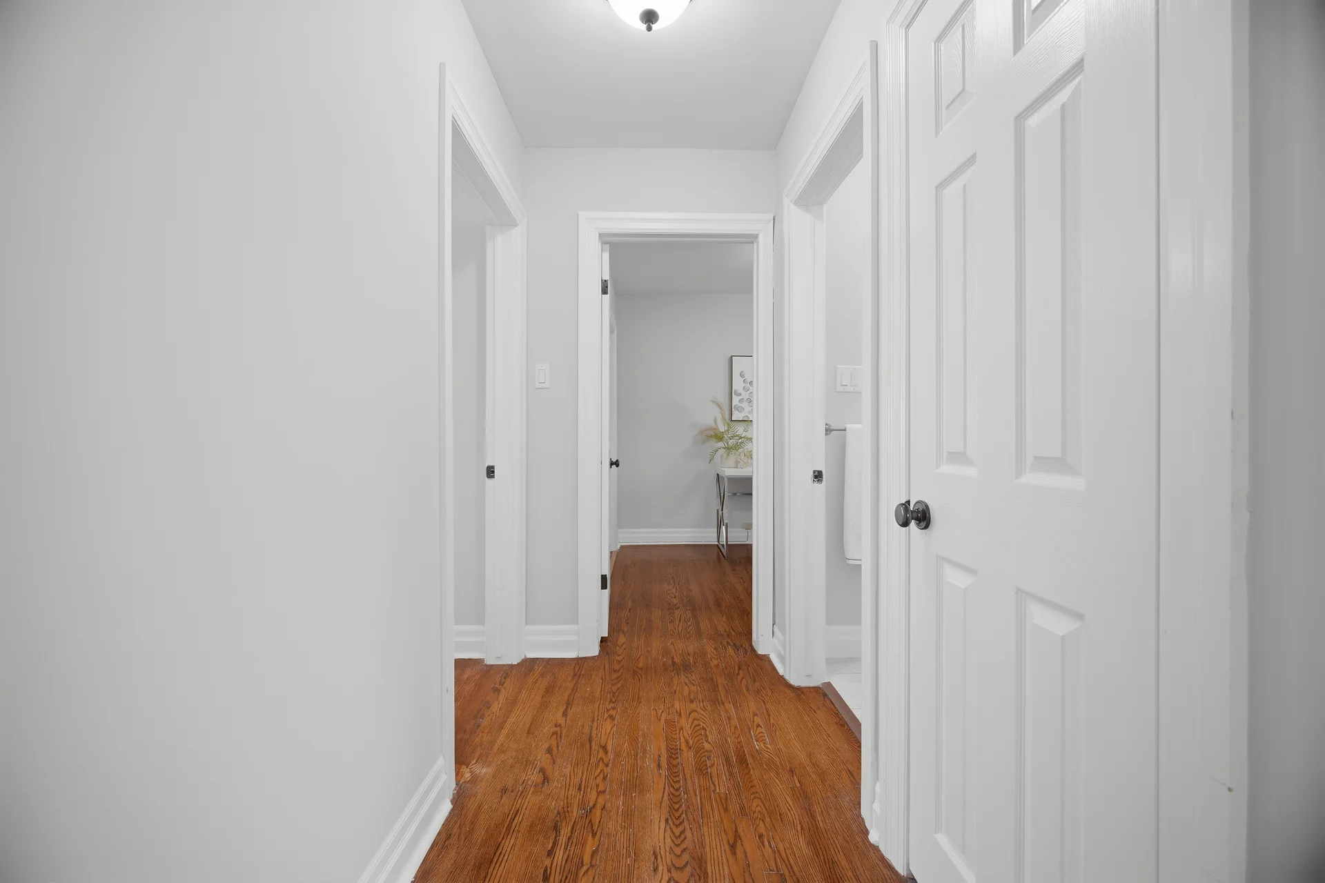 18 Delsey Street, Hamilton - photo 37