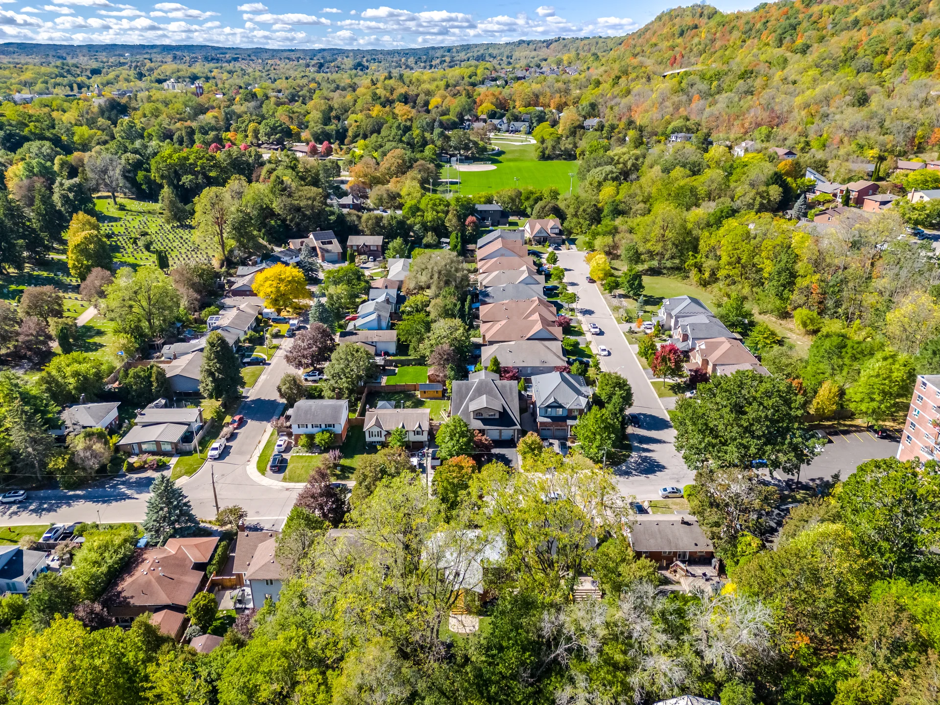 18 Delsey Street, Hamilton - photo 86