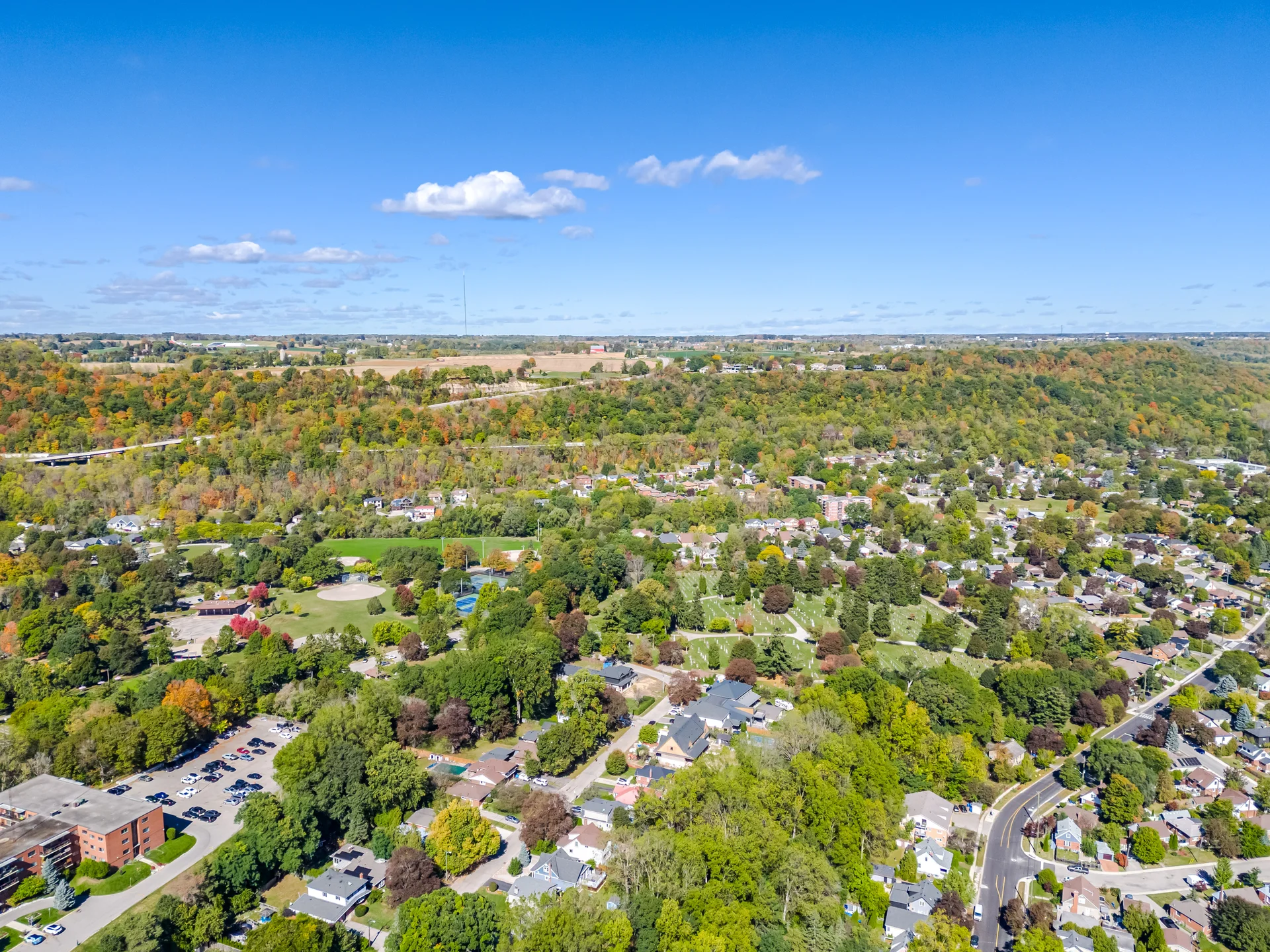 18 Delsey Street, Hamilton - photo 96