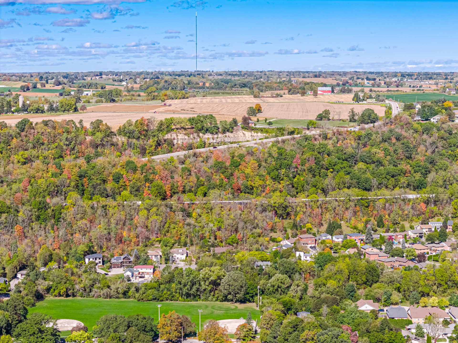 18 Delsey Street, Hamilton - photo 97