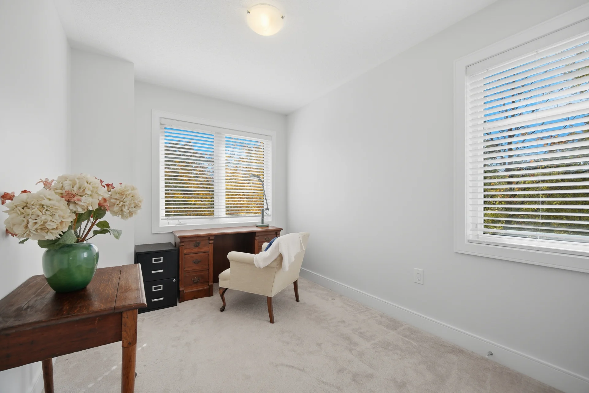 36 Whitehorn Lane, Georgetown - photo 42
