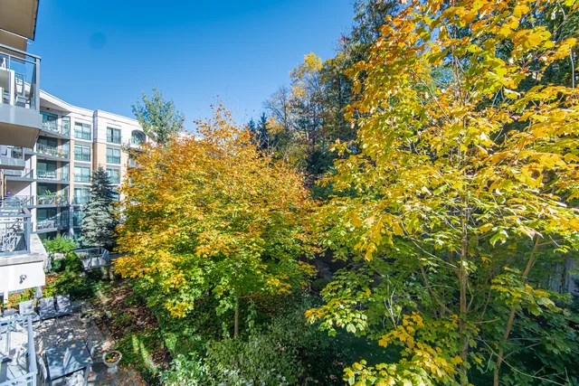 #322-11 William Carson Crescent, North York - photo 21