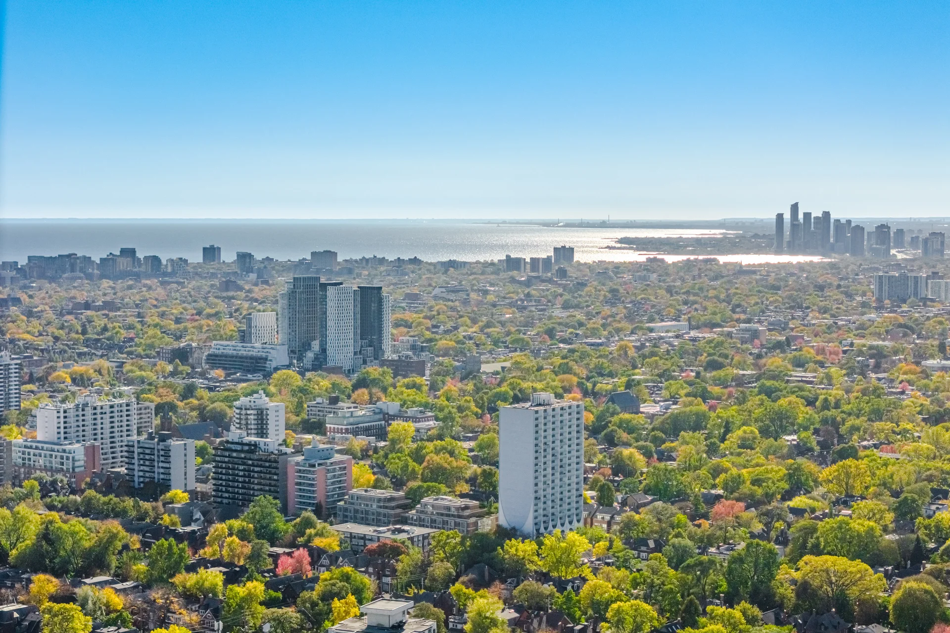 #206-181 Bedford Road, Toronto - photo 54