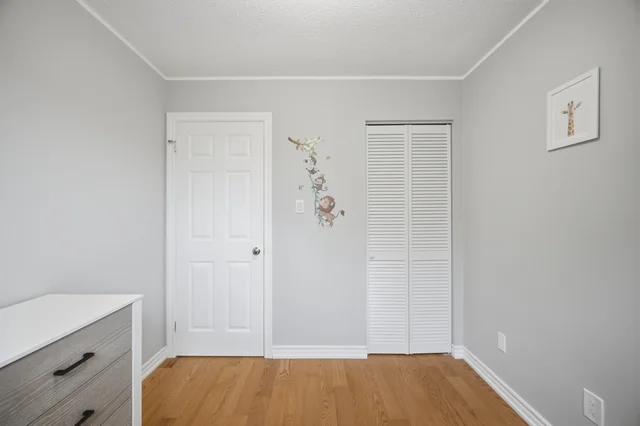 58 Athenia Drive, Hamilton - photo 38