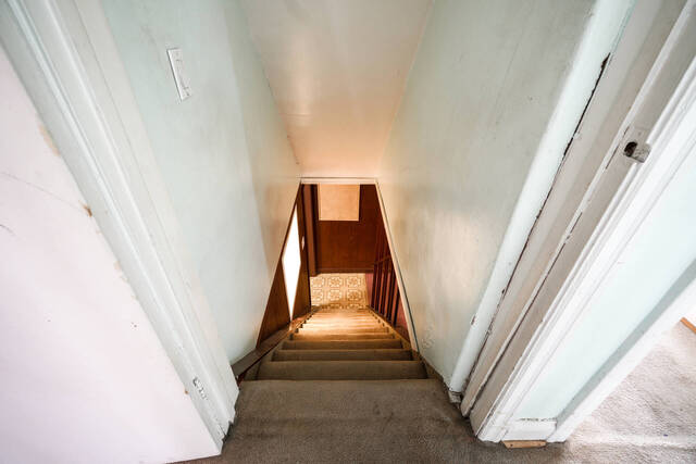 102 Stayner Avenue, North York - photo 40