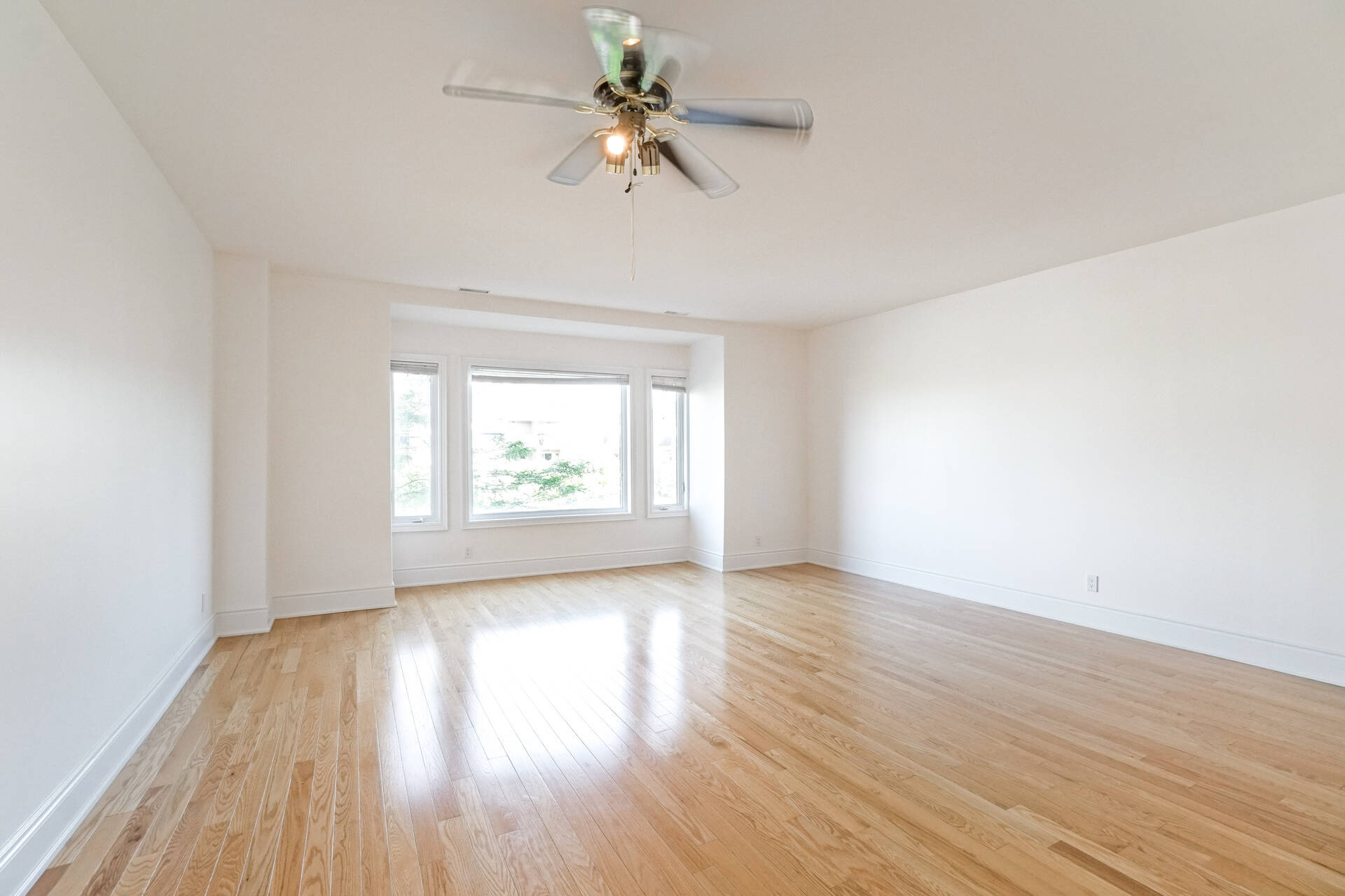 9121 Derry Road, Milton - photo 15